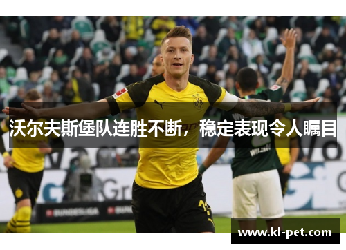 沃尔夫斯堡队连胜不断，稳定表现令人瞩目