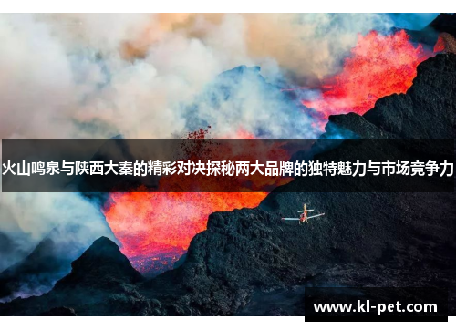 火山鸣泉与陕西大秦的精彩对决探秘两大品牌的独特魅力与市场竞争力