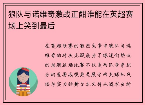 狼队与诺维奇激战正酣谁能在英超赛场上笑到最后